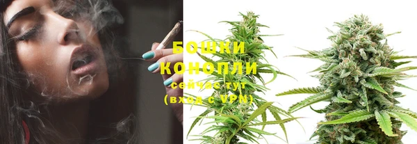 гашиш Богданович