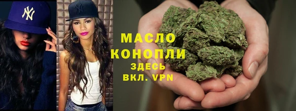 дживик Богородицк