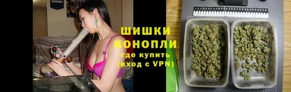 дживик Богородицк