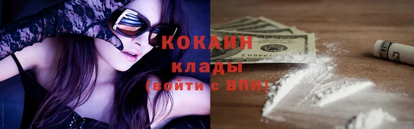дживик Богородицк