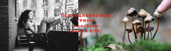 МДПВ Богородск
