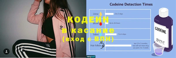 дживик Богородицк