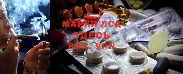 бошки Белокуриха