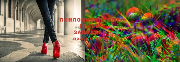 гашиш Богданович