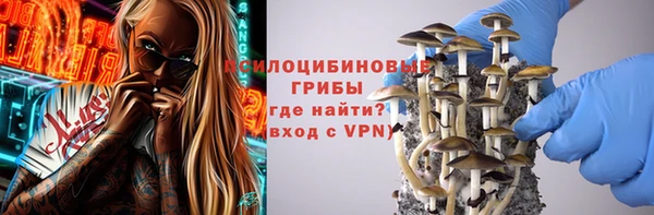 гашиш Богданович